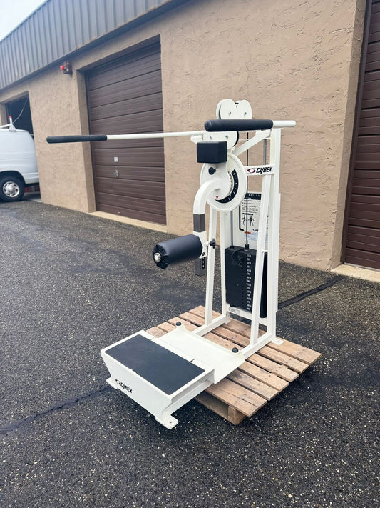 Cybex Multi Hip